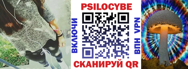 как найти закладки  Ермолино  Псилоцибиновые грибы Psilocybe 